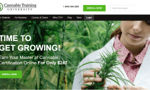 Why CTU is the GO-TO for Aspiring Cannabis Industry Workers