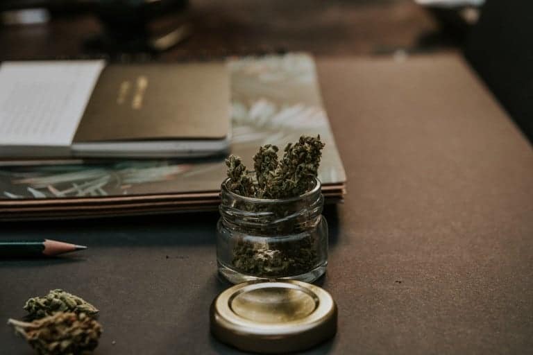 Top 5 Marijuana Stocks to Watch in 2024