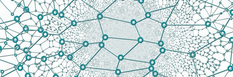 investor networks