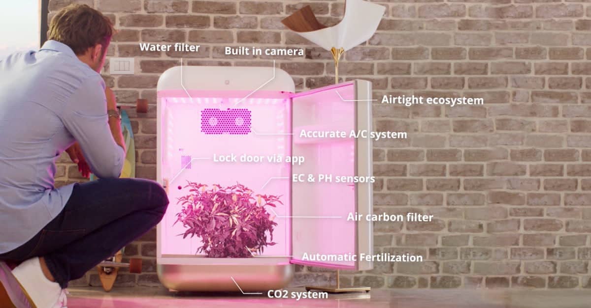 Smart Grow Boxes The Ultimate Guide