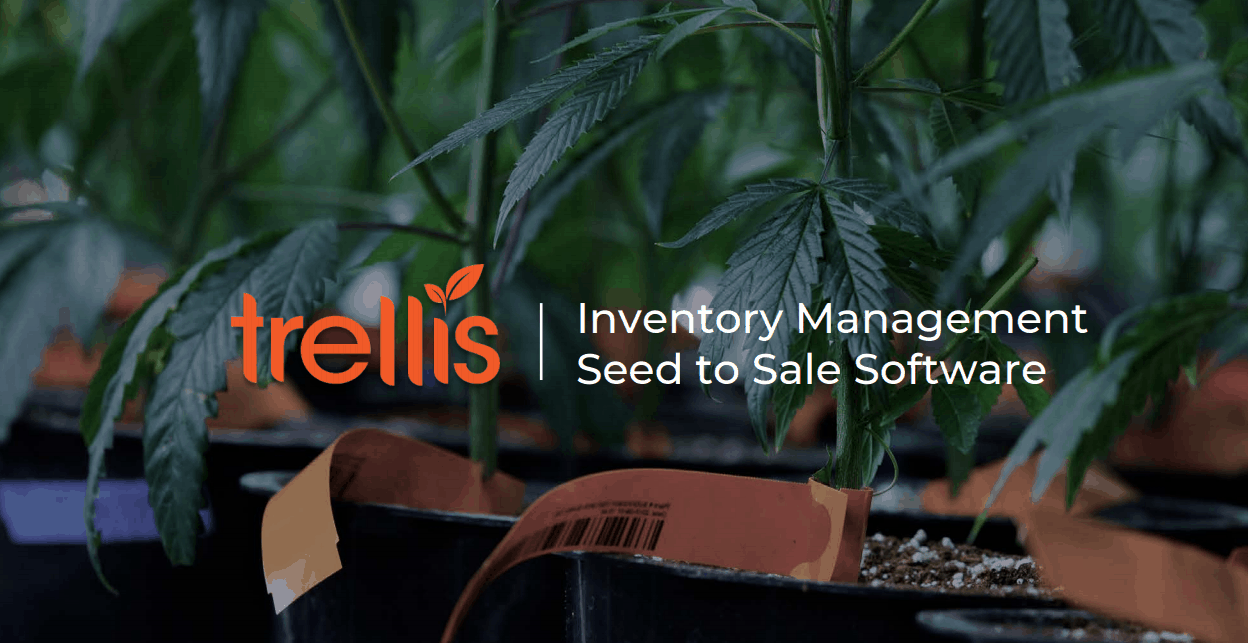 Cannabis Tracking 2.0 From Seed To Dispensary To Customer