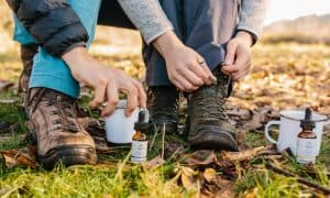 CBD Subscription Boxes: Discover Latest & Greatest Products Monthly