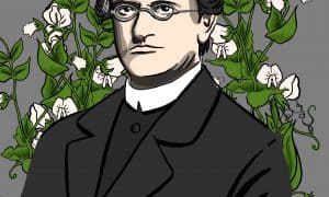 Best Selling Marijuana Strains of 2020: Worth the Hype?