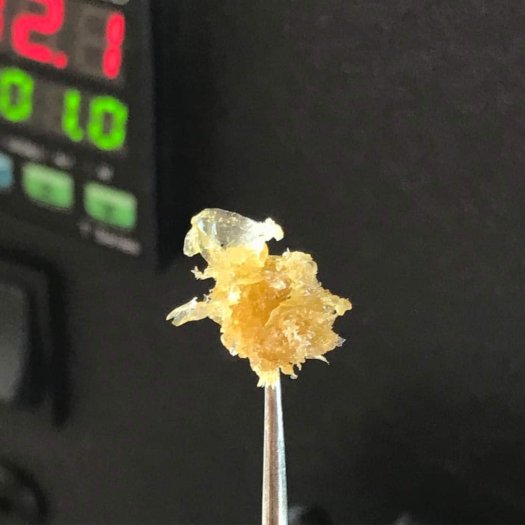 nugsmasher review