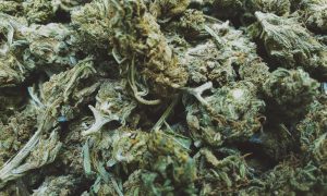 Financial Hurdles & Solutions for Cannabis Companies