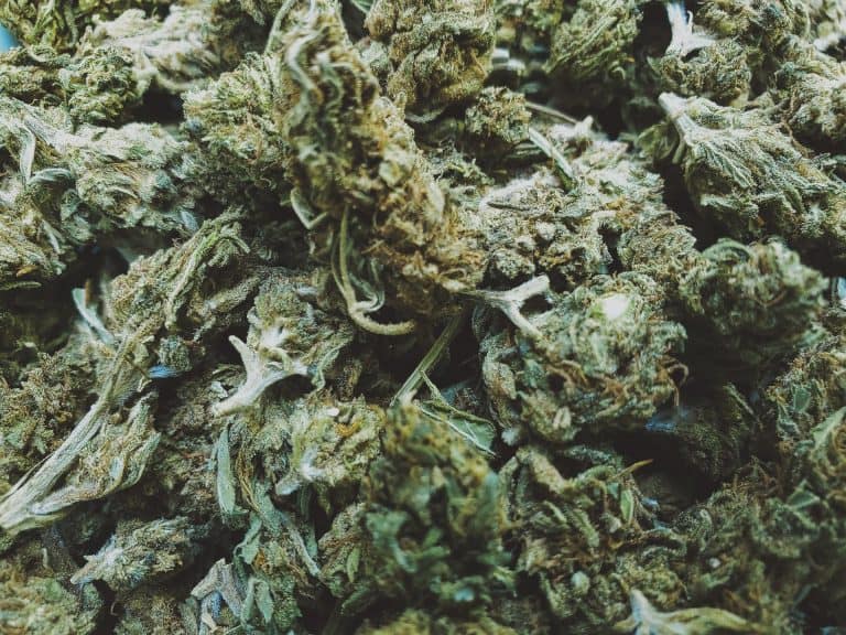 cannabis banking resources