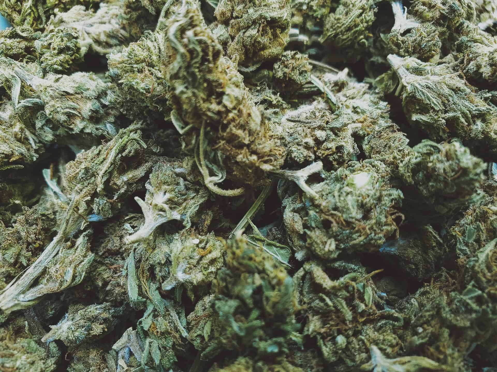 cannabis banking resources