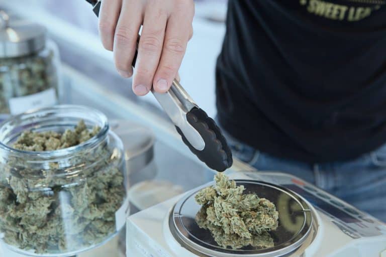 how to become a budtender