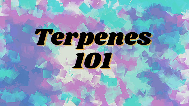terpenes 101