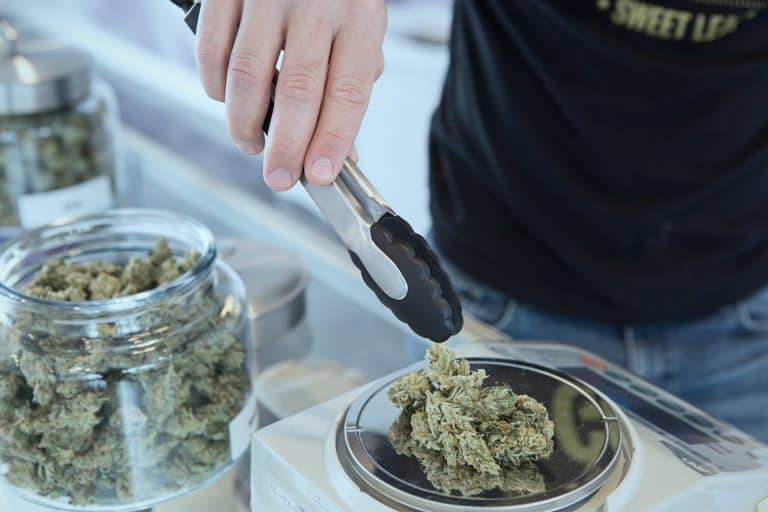 good questions for budtenders