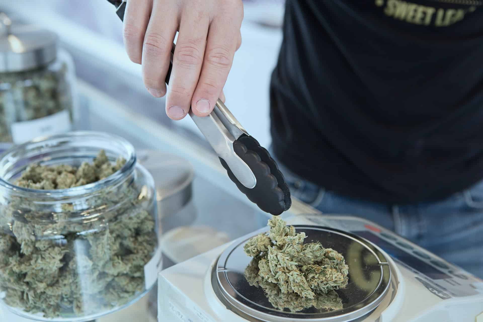 good questions for budtenders