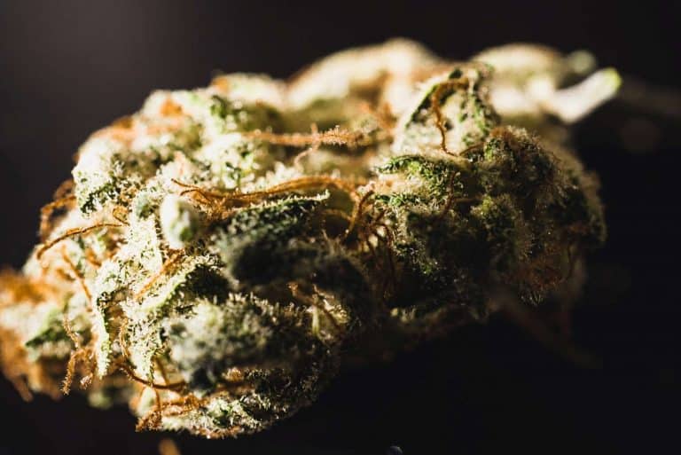 how long does weed stay good