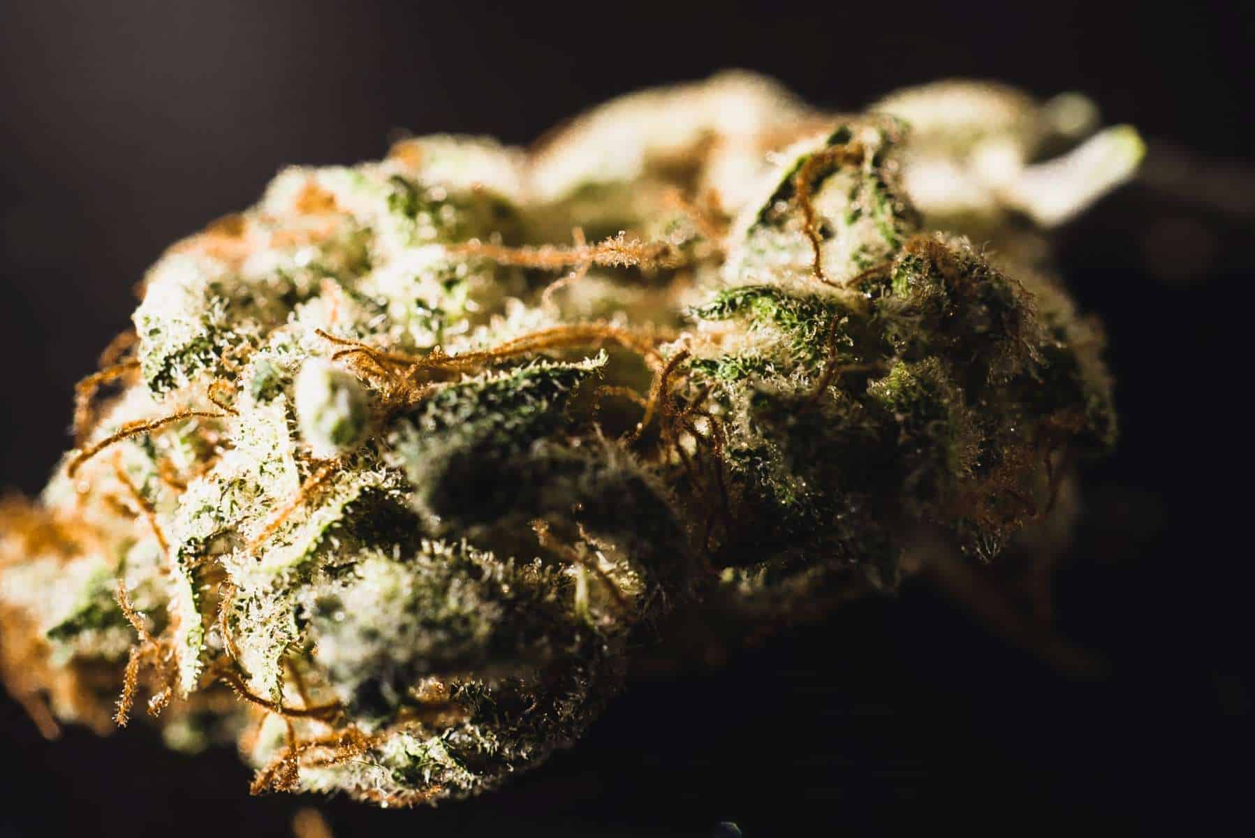 how long does weed stay good