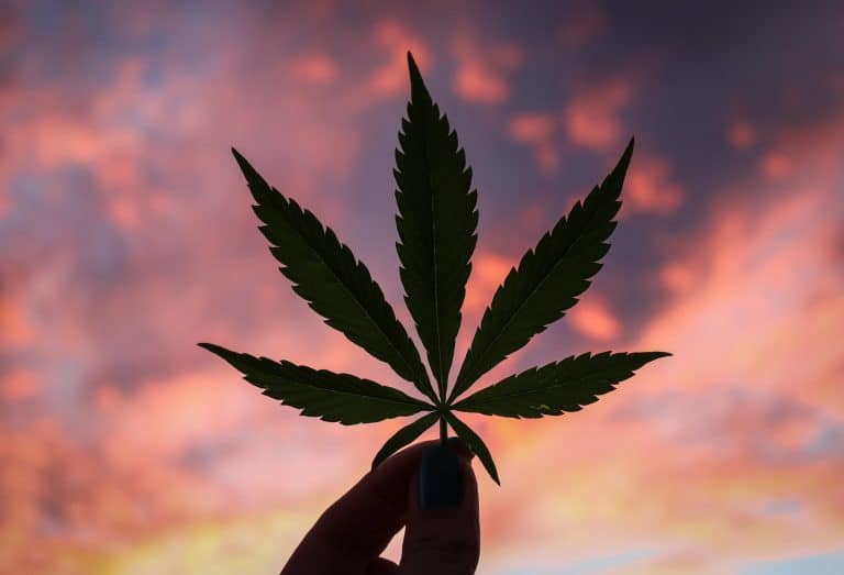 weed strain names explained