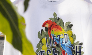 LRG (Lifted Research Group): Streetwear Meets Cannabis Music Culture