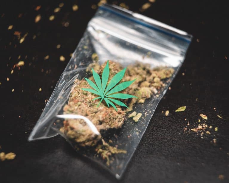 cannabis franchising
