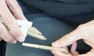 Common THC Detox Myths and Facts Explained