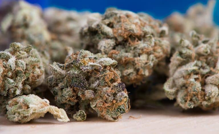 how to tell good weed from bad weed