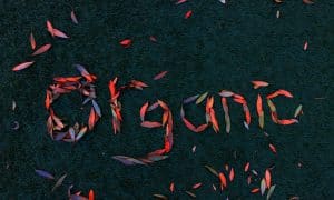 Super Soil Recipe For Growing Amazing Cannabis