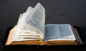 Weed in the Bible: What Your Sunday School Teacher Never Told You
