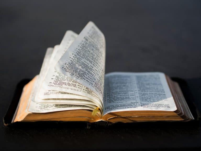 weed in the bible