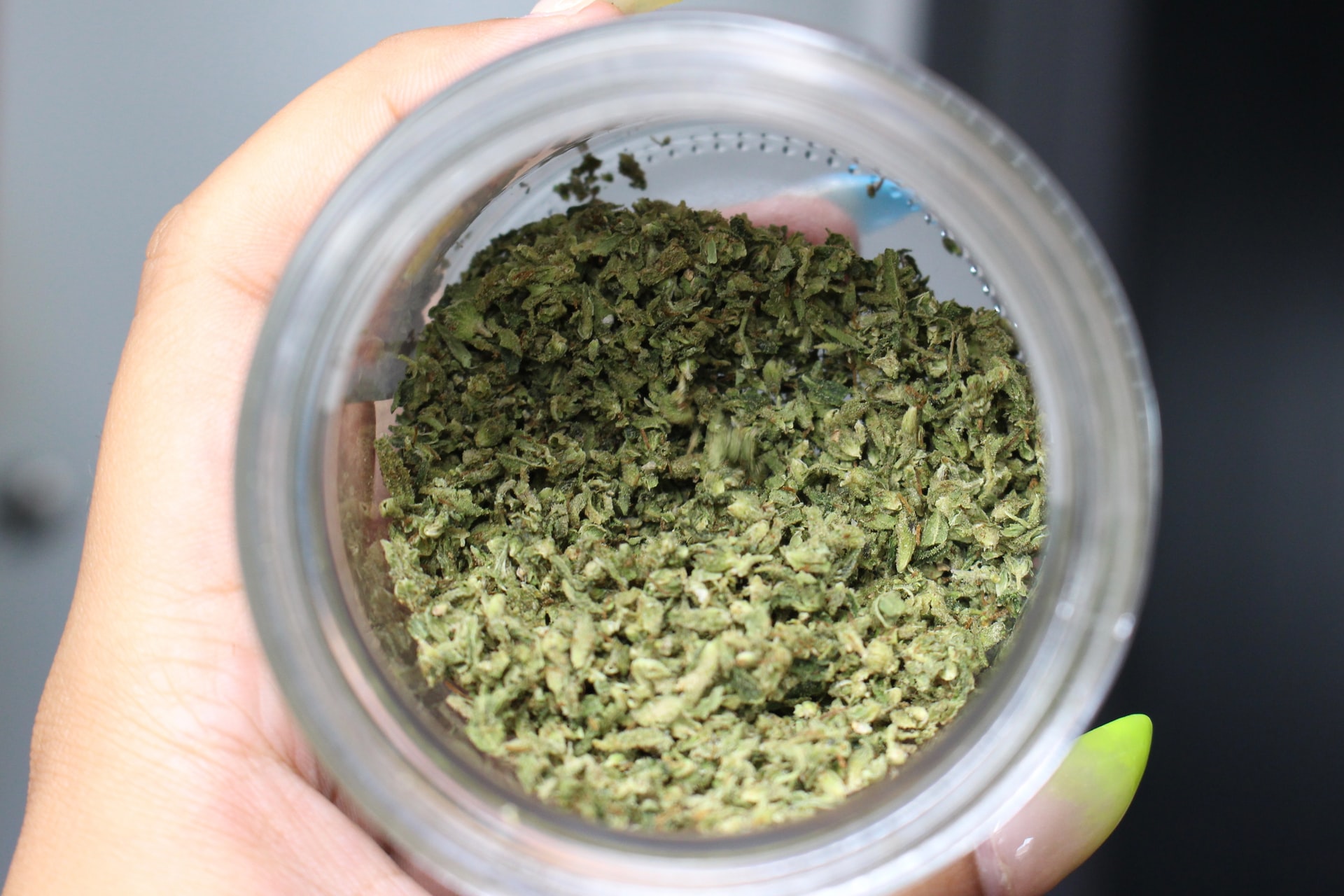 commercial cannabis shredder machines