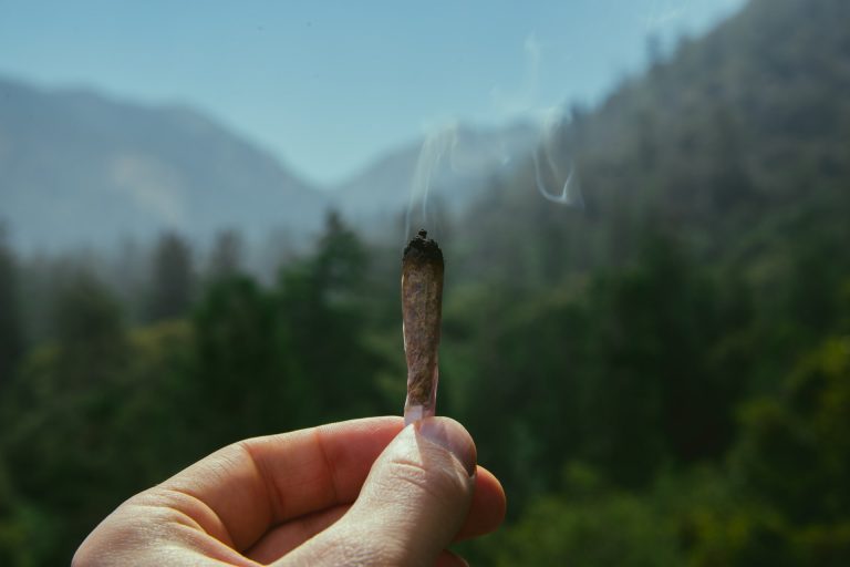 roach clips for joints