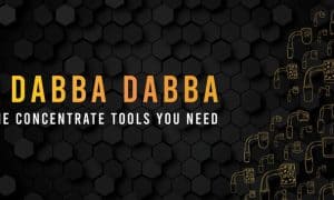 Yo Dabba Dabba Terp Slurper eNail Overview