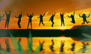 American Medical Association Finds Cannabis Significantly Improves Quality of Life