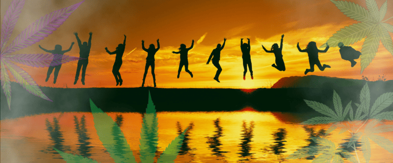 cannabis improves quality of life study