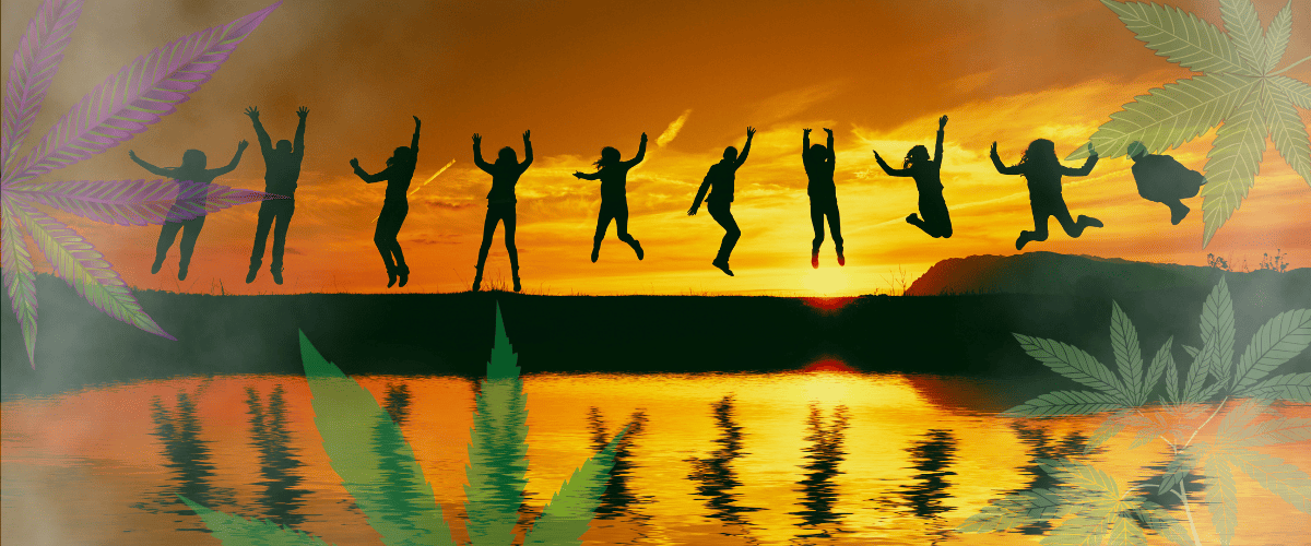 cannabis improves quality of life study