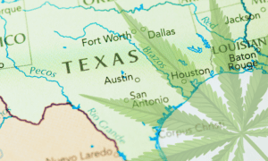 What’s the Future of Cannabis in Texas?